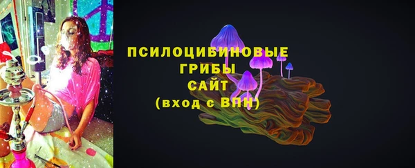 героин Алексин