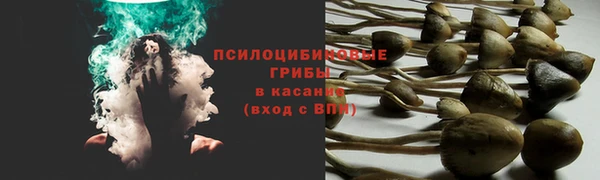 твердый Алексеевка