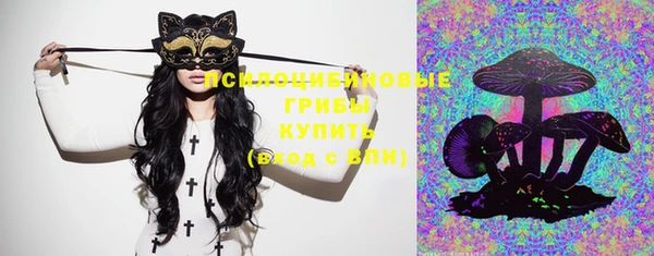 спиды Заводоуковск