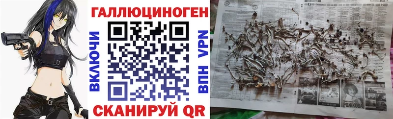 Псилоцибиновые грибы Psilocybe  Игра 